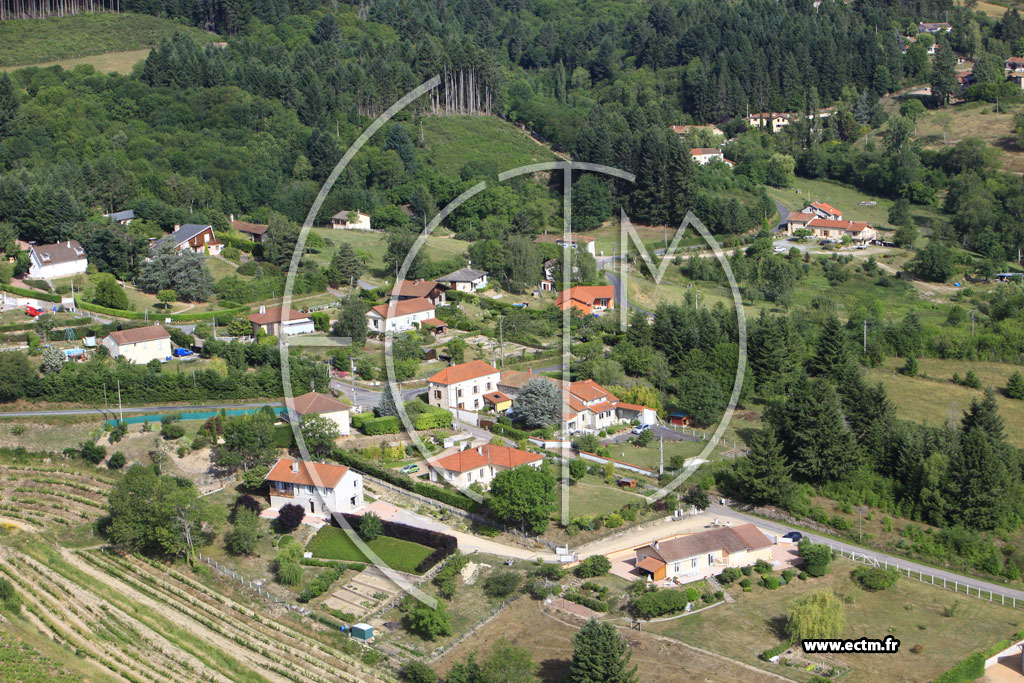 Photo arienne de Saint-Haon-le-Vieux