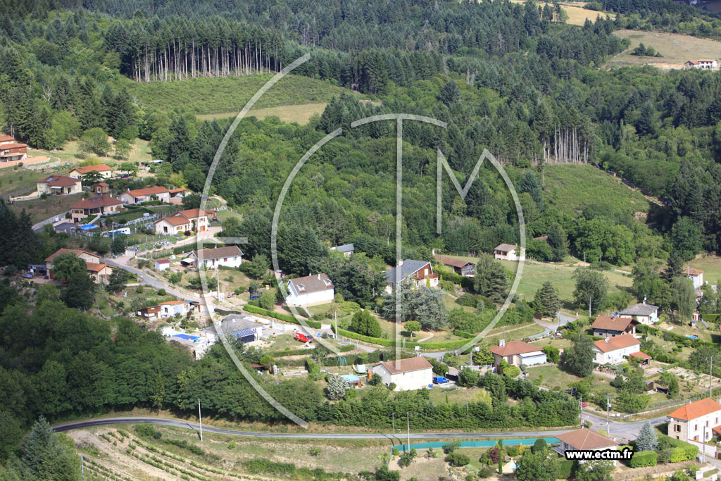 Photo arienne de Saint-Haon-le-Vieux