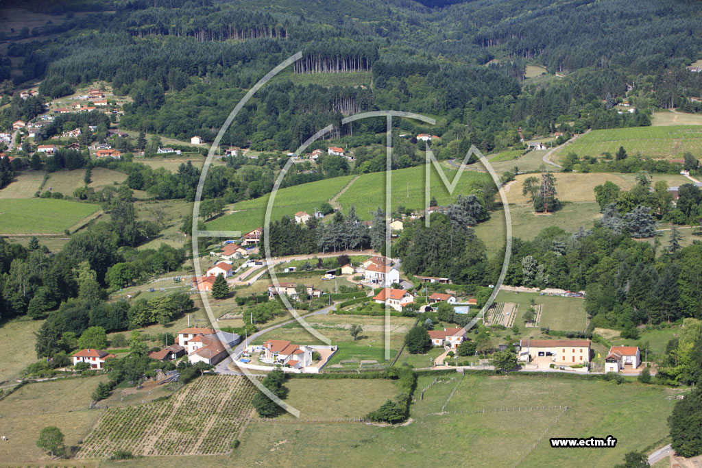 Photo arienne de Saint-Haon-le-Vieux