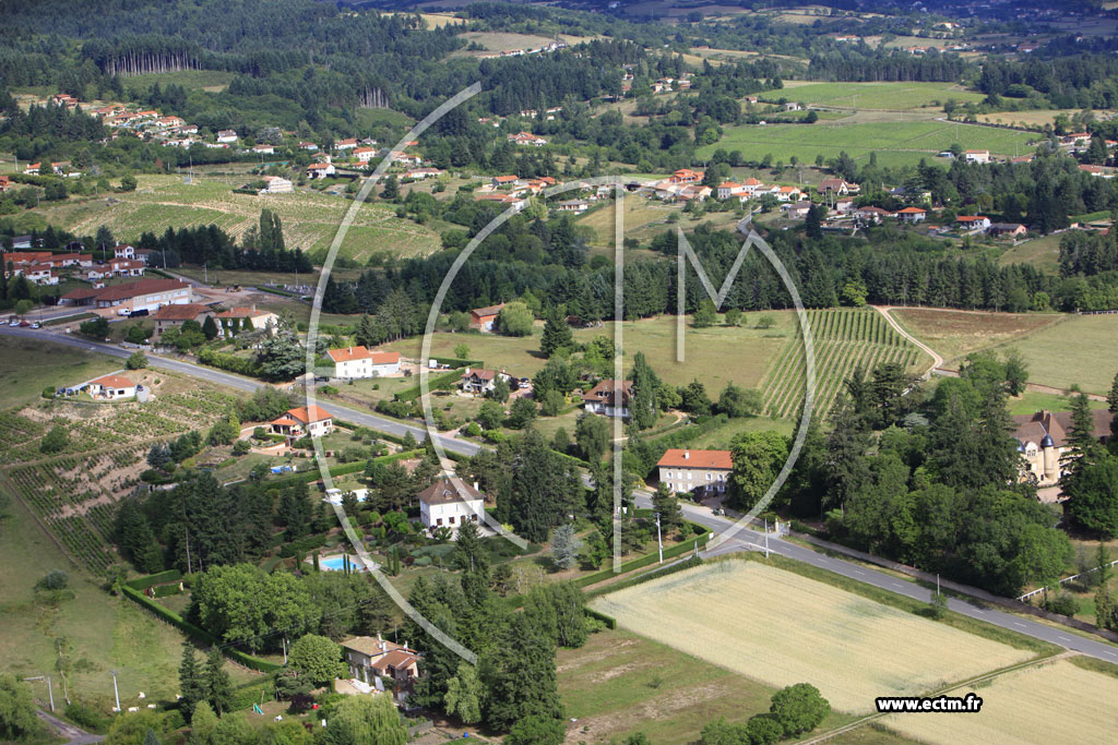 Photo arienne de Saint-Haon-le-Vieux