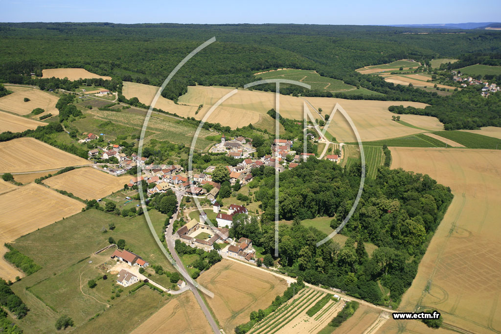Photo arienne de Collonges-ls-Bvy