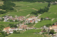 Photos de Santenay (Le Haut Santenay)