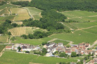 Photos de Santenay (Le Haut Santenay)