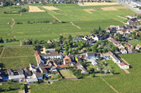 Photos de Gevrey-Chambertin (Les Baraques de Gevrey-Chambertin)
