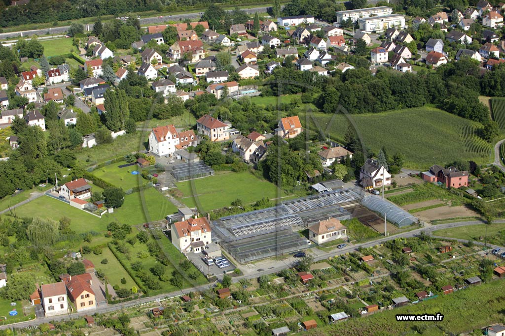 Photo arienne de Colmar (Quartier des Marachers)