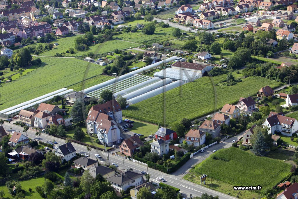 Photo arienne de Colmar (Quartier des Marachers)