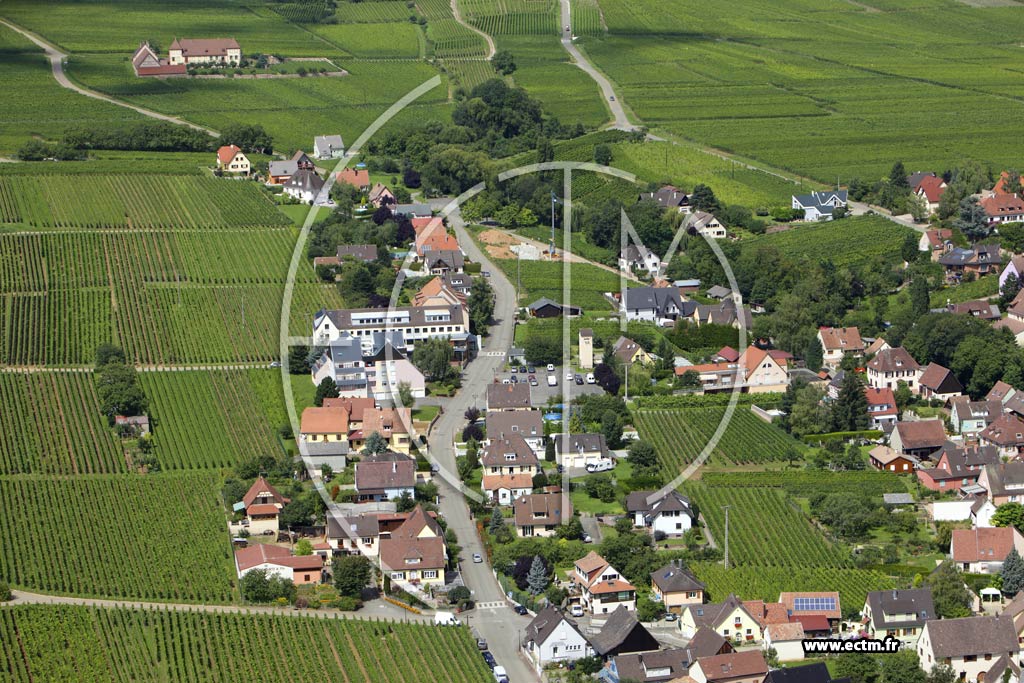 Photo arienne de Mittelwihr