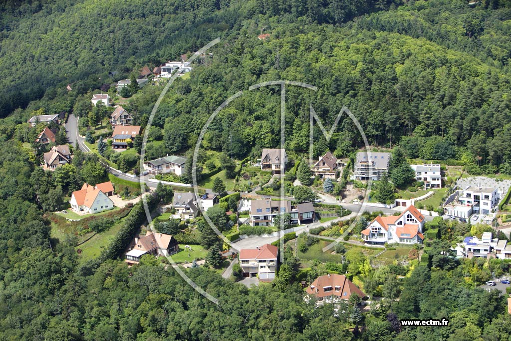 Photo arienne de Niedermorschwihr (Hunabuhl)