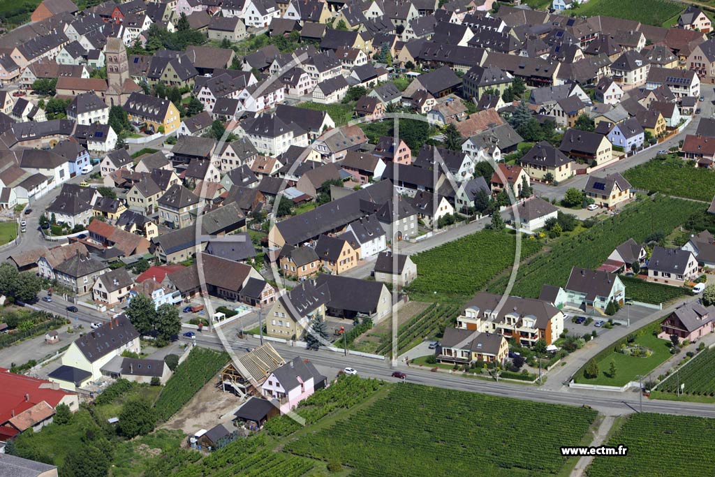 Photo arienne de Sigolsheim