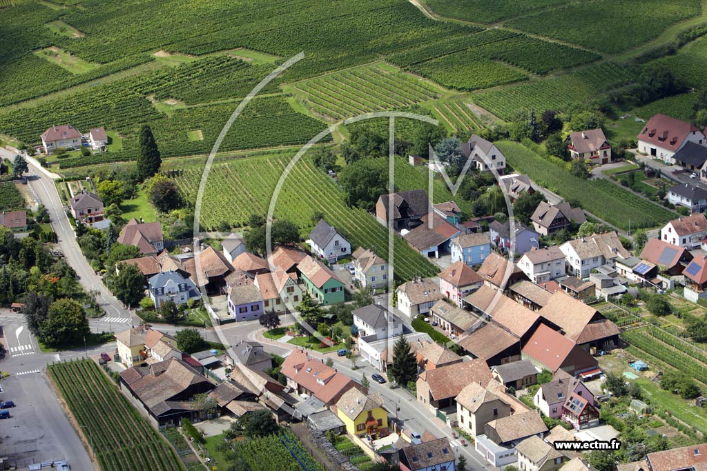 Photo arienne de Wettolsheim