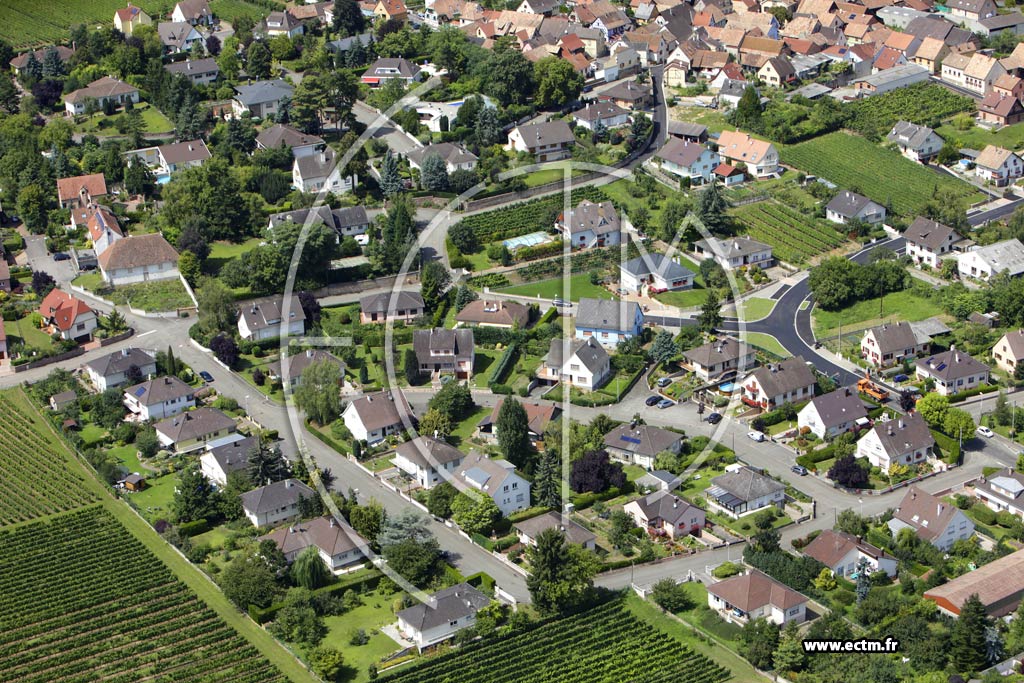 Photo arienne de Wettolsheim