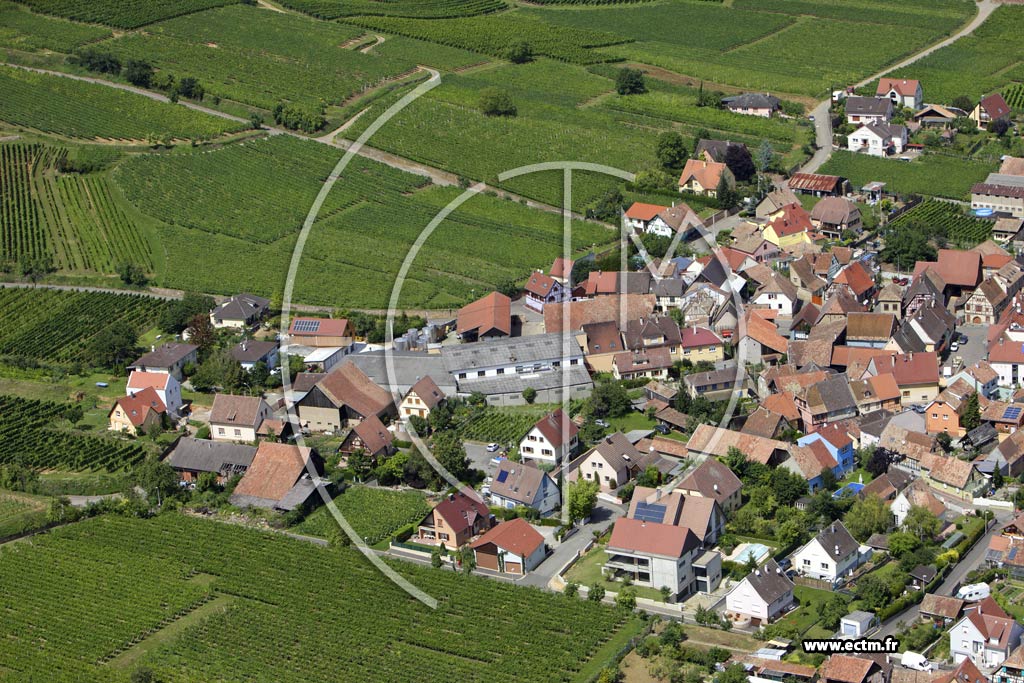 Photo arienne de Wettolsheim