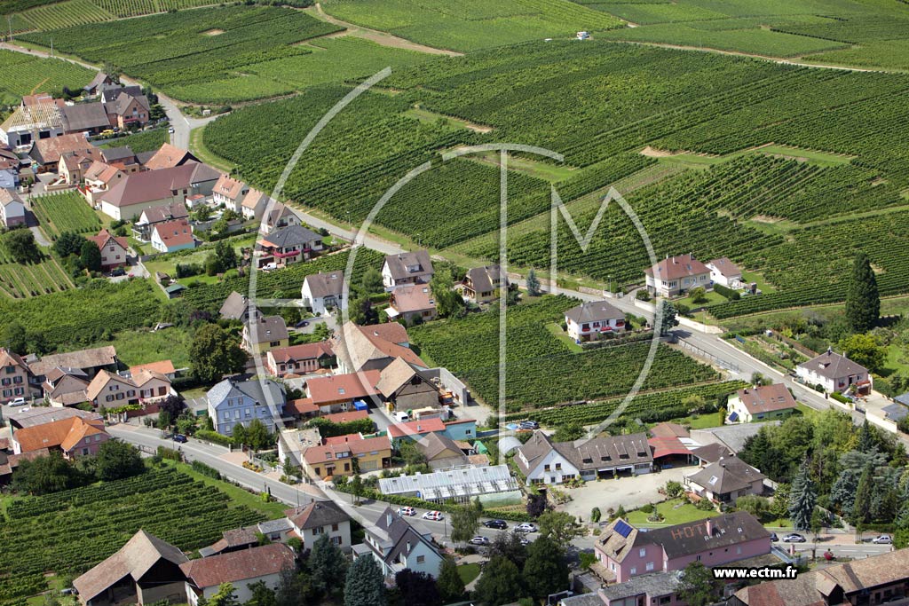 Photo arienne de Wettolsheim