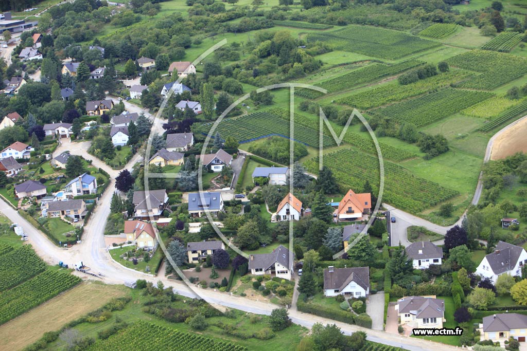 Photo arienne de Bischoffsheim