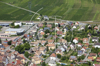 Photos de Wintzenheim