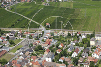 Photos de Wintzenheim