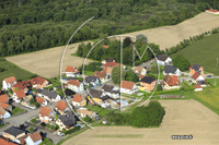 67770 Dalhunden - photo - Dalhunden