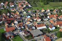 67770 Dalhunden - photo - Dalhunden