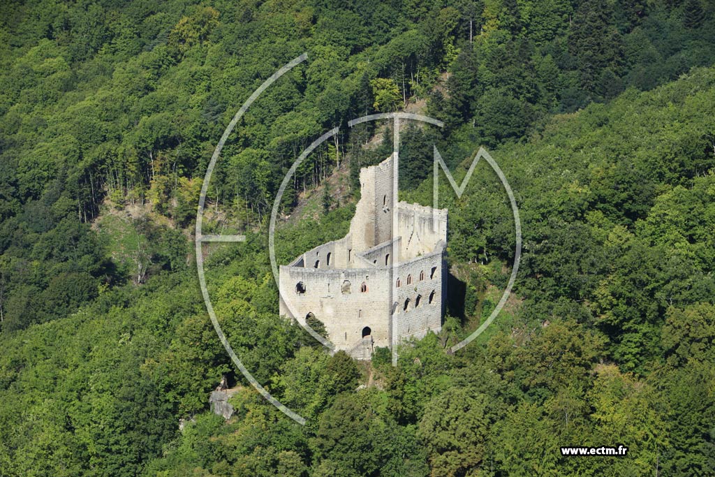 Photo arienne de Andlau (Chteau de Spesbourg)