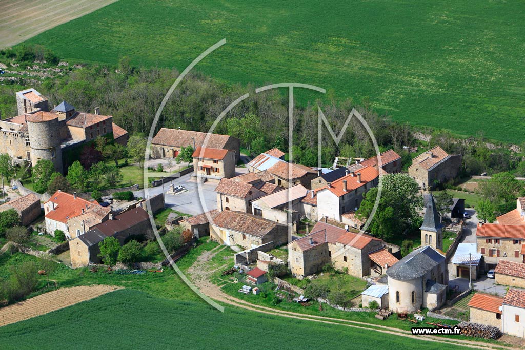 Photo arienne de Saint-Rome-de-Cernon (Mlac)