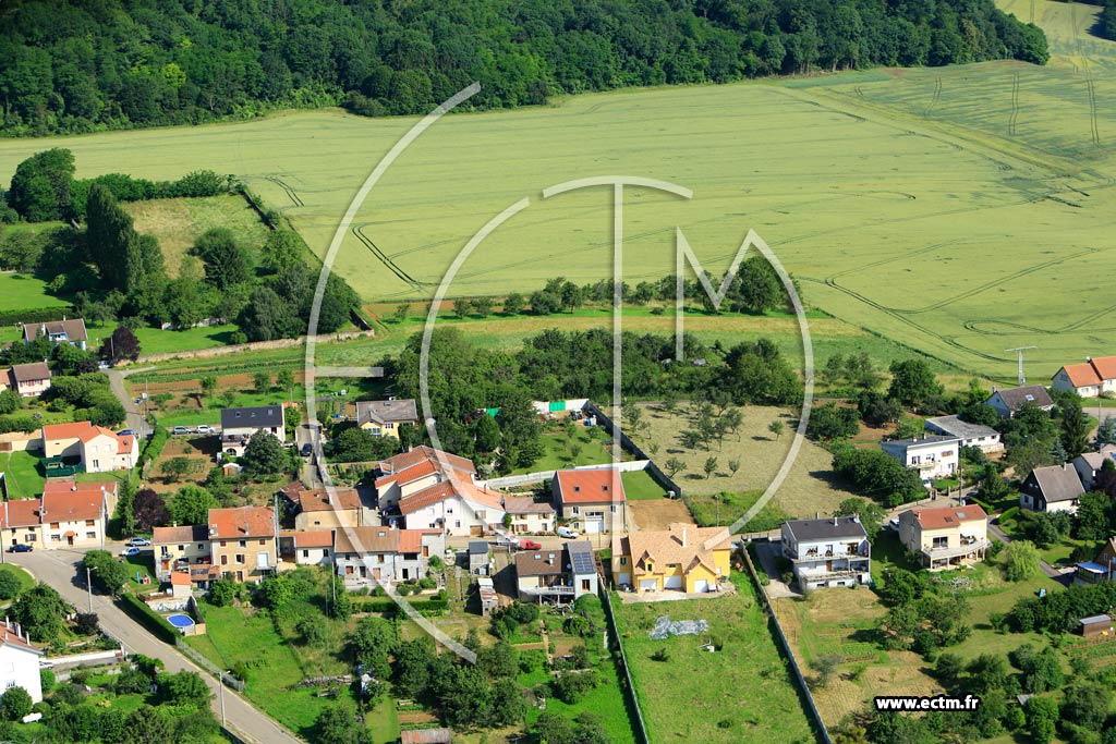 Photo arienne de Bouxires-aux-Chnes (cuelle)