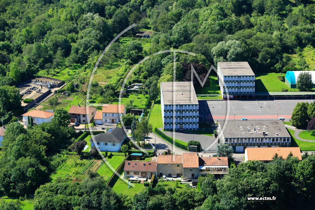 Photo arienne de Ars-sur-Moselle