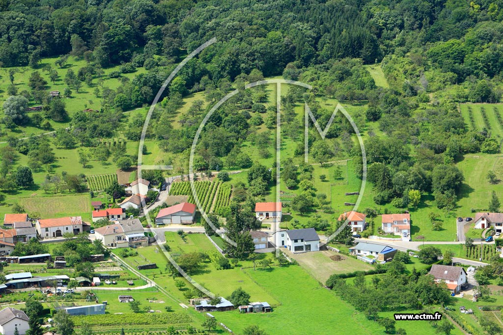 Photo arienne de Mont-le-Vignoble