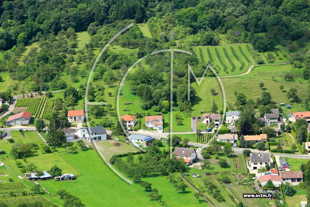 Photo arienne de Mont-le-Vignoble