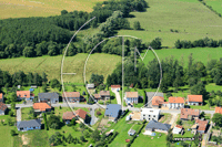 57400 Schneckenbusch - photo - Schneckenbusch
