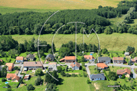 57400 Schneckenbusch - photo - Schneckenbusch