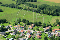 57400 Schneckenbusch - photo - Schneckenbusch