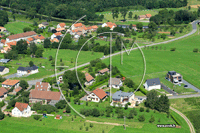 57400 Schneckenbusch - photo - Schneckenbusch