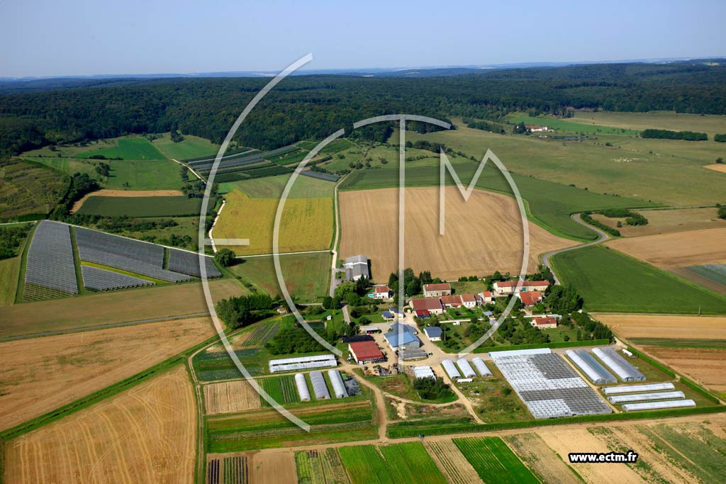 Photo arienne de Bonze (Villers sous Bonchamp)