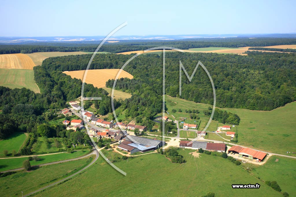 Photo arienne de Dommartin-la-Montagne