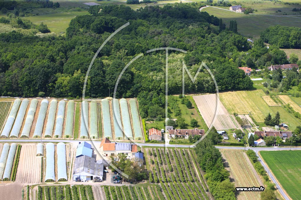 Photo arienne de Mont-Prs-Chambord (Villesavin)