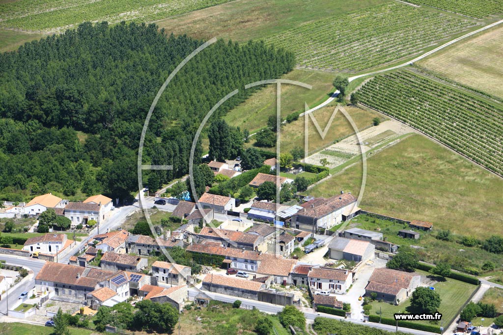 Photo arienne de Sainte-Svre (Mtairie de Jarnac)
