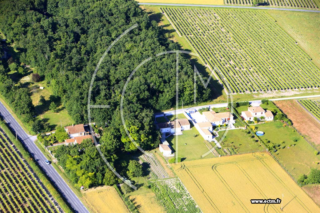 Photo arienne de Salignac-sur-Charente (Le Prat)
