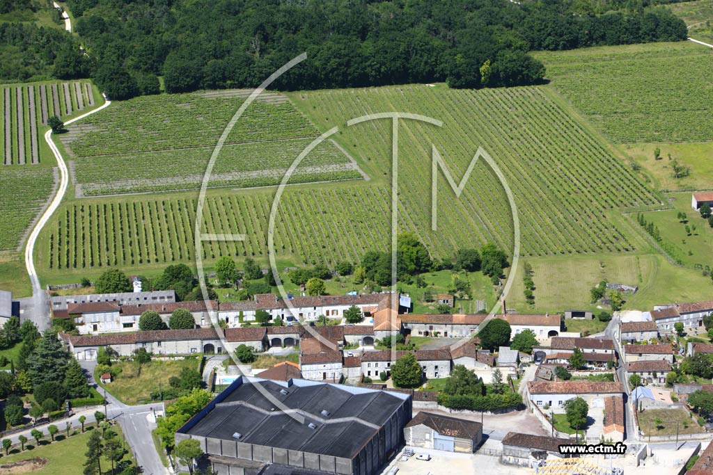 Photo arienne de Segonzac (Biard)