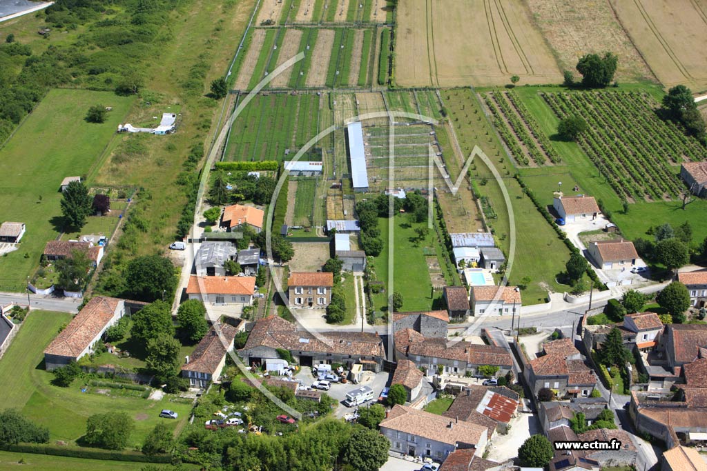 Photo arienne de Sigogne