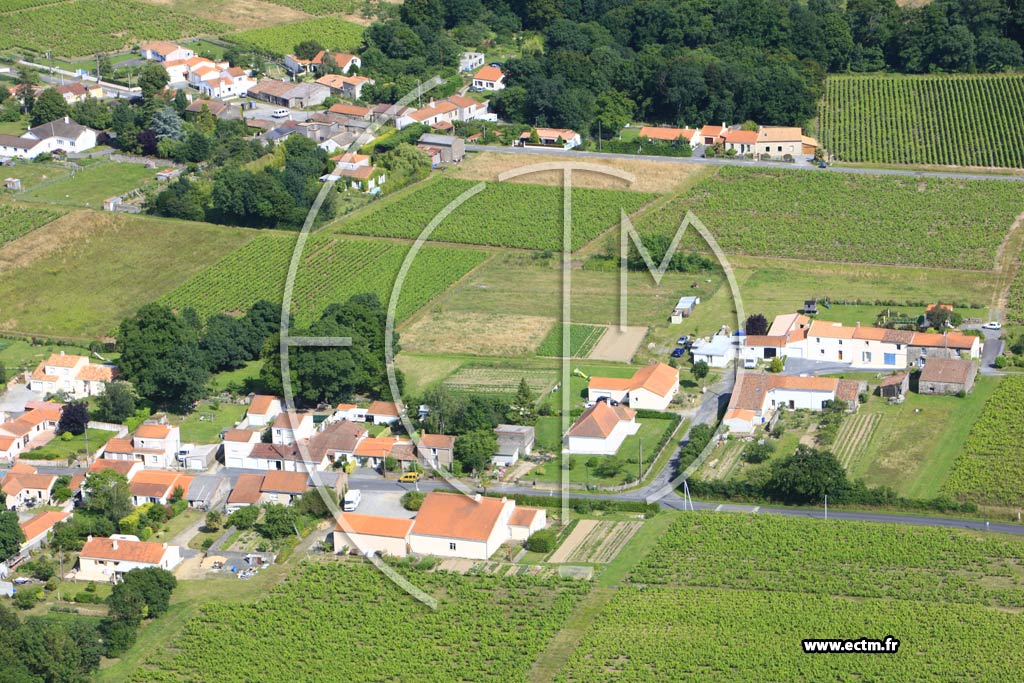 Photo arienne de Chteau-Thbaud (Le Moulinier)