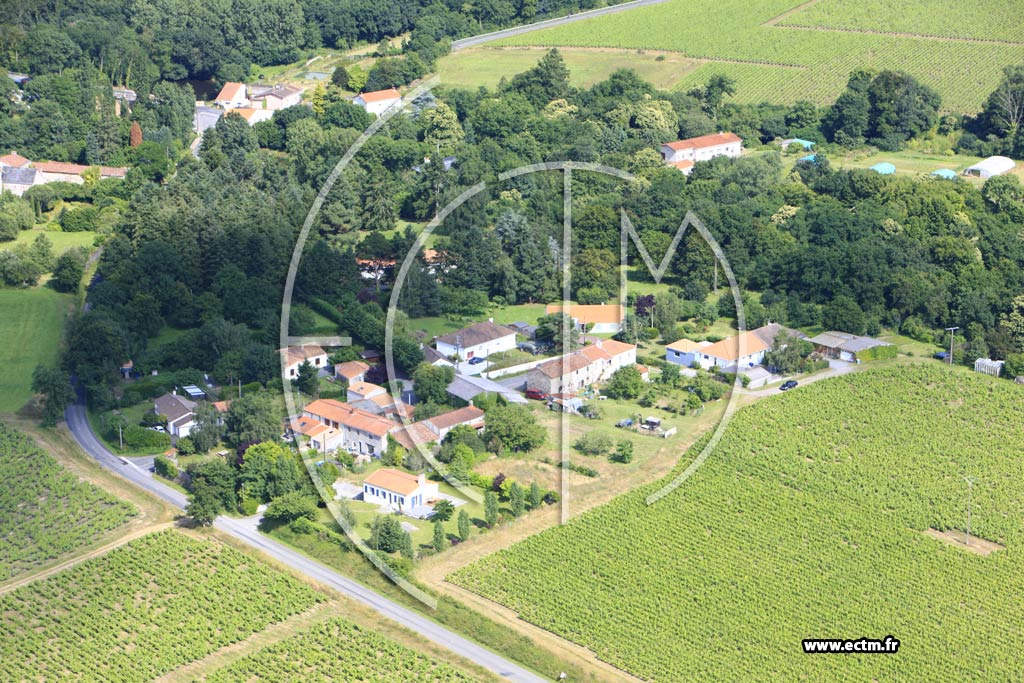 Photo arienne de Chteau-Thbaud (Les Herbillers)