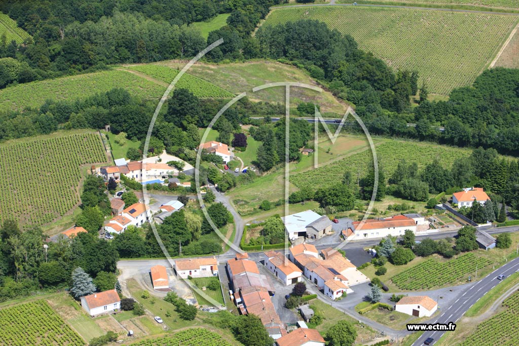 Photo arienne de Gorges (Les Forges)