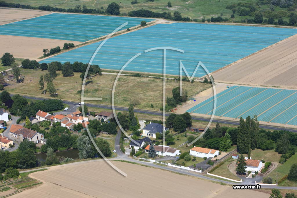 Photo arienne de La Chapelle-Basse-Mer (L'Ebaupin)