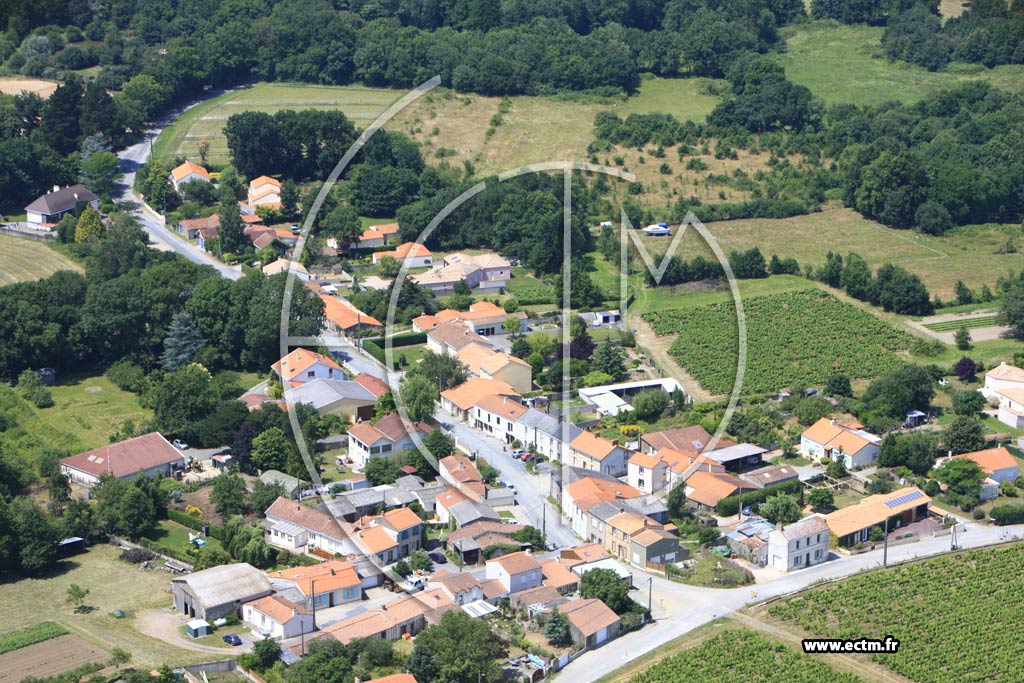 Photo arienne de La Haie-Fouassire (La Caillaudire)