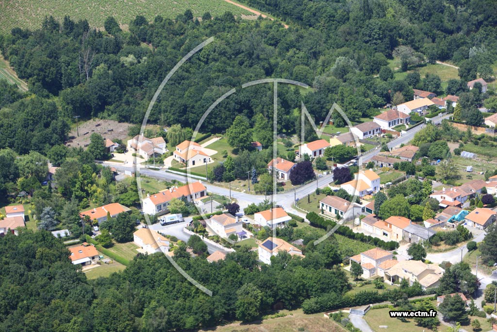 Photo arienne de La Haie-Fouassire (La Cornillre)