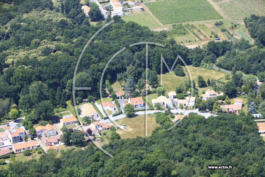 Photo arienne de La Haie-Fouassire (La Cornillre)