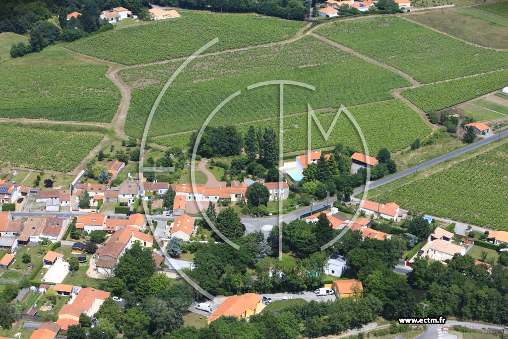 Photo arienne de La Haie-Fouassire (La Cornillre)