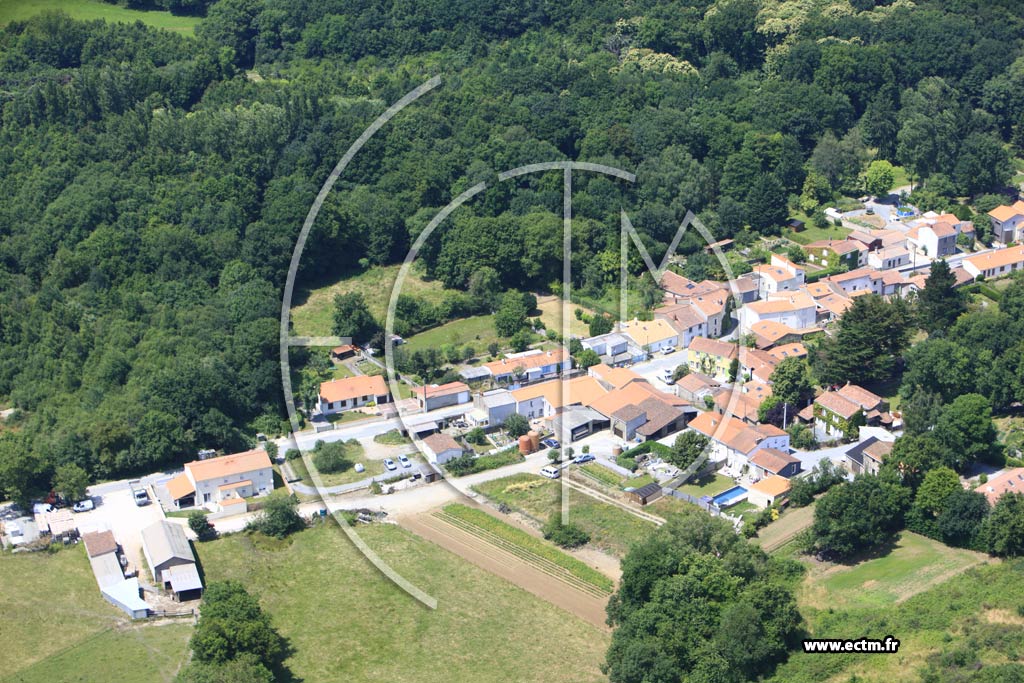 Photo arienne de La Haie-Fouassire (La Cornillre)