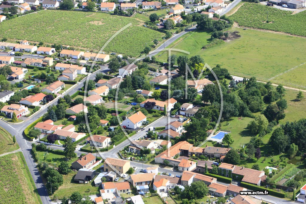 Photo arienne de La Haie-Fouassire (La Gosselire)