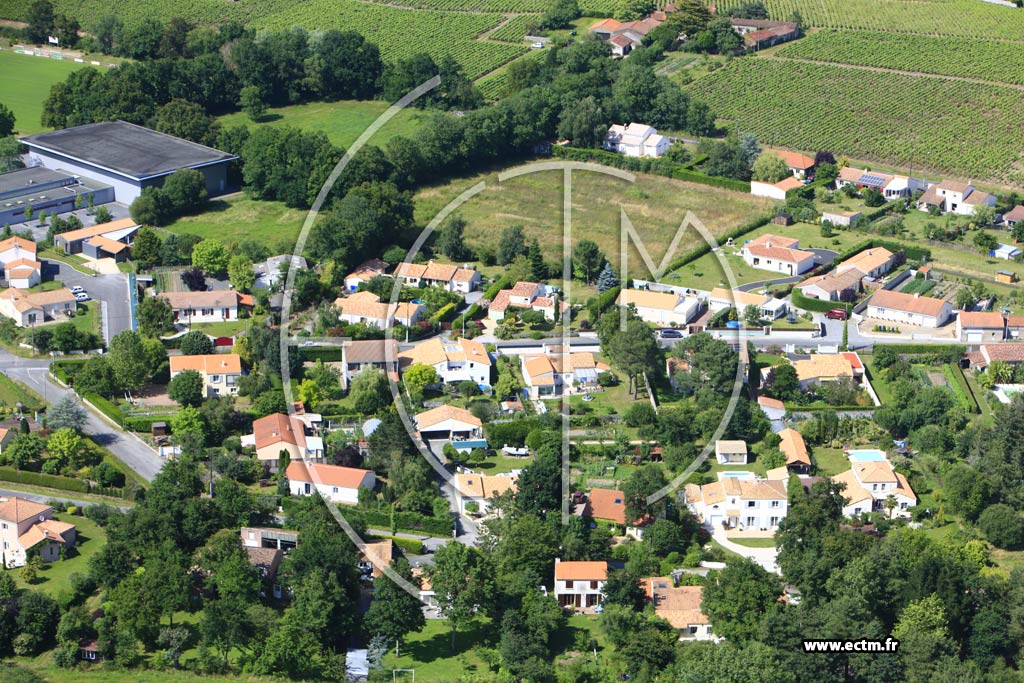 Photo arienne de La Haie-Fouassire (La Gosselire)
